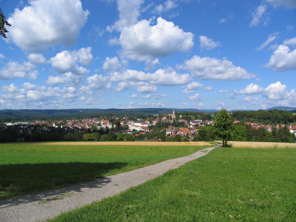 Moehringers Schwarzwald Hotel บอนดอร์ฟ อิม ชวาร์ซวัลด์ ภายนอก รูปภาพ