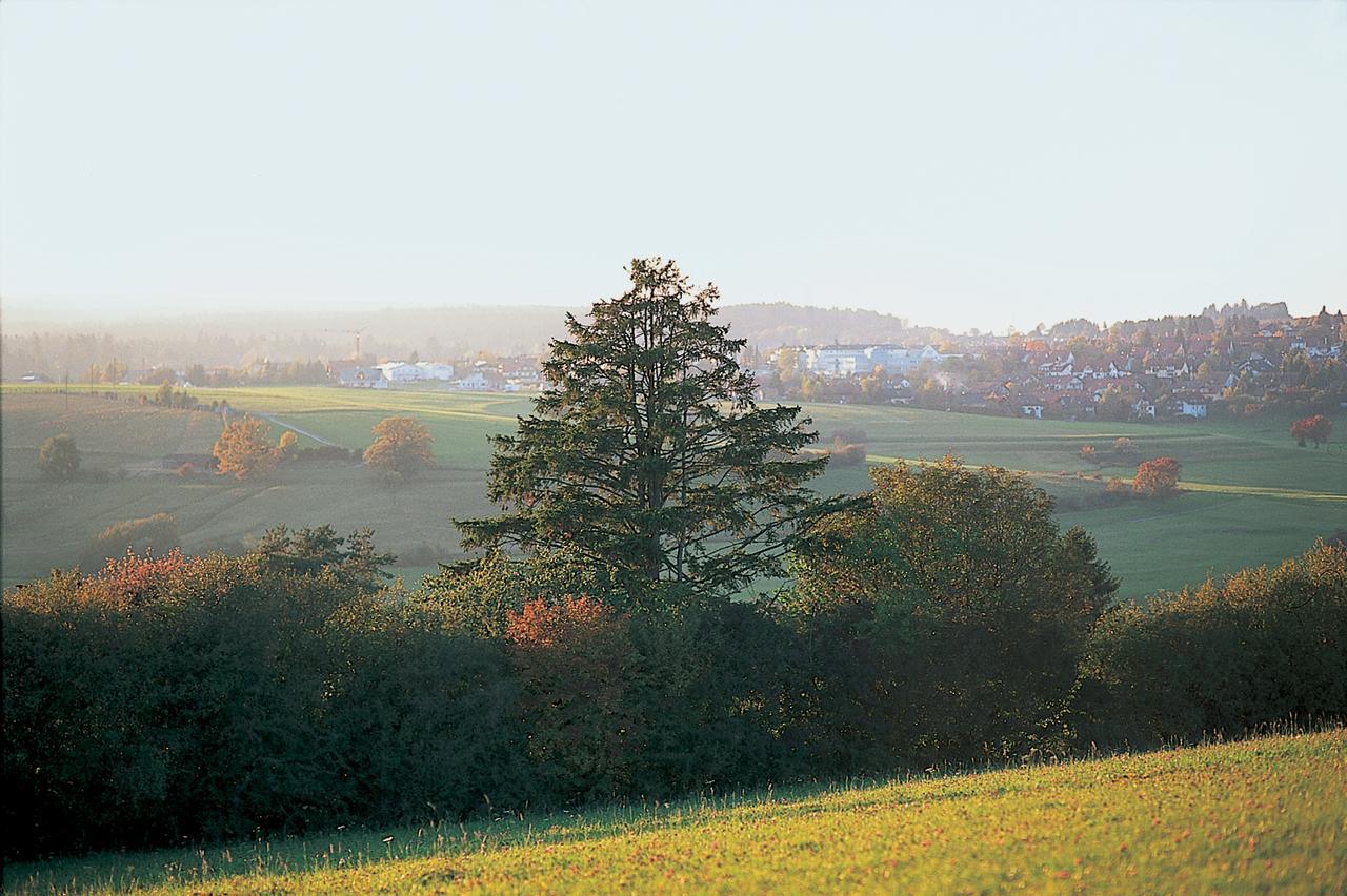 Mohringers Schwarzwald Hotel บอนดอร์ฟ อิม ชวาร์ซวัลด์ ภายนอก รูปภาพ